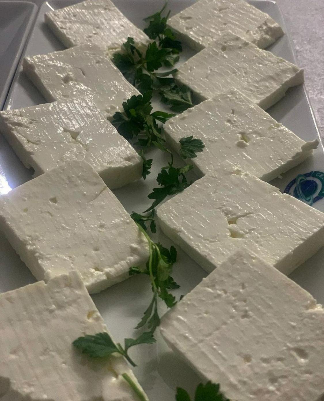 Cenka 2* Selçuk